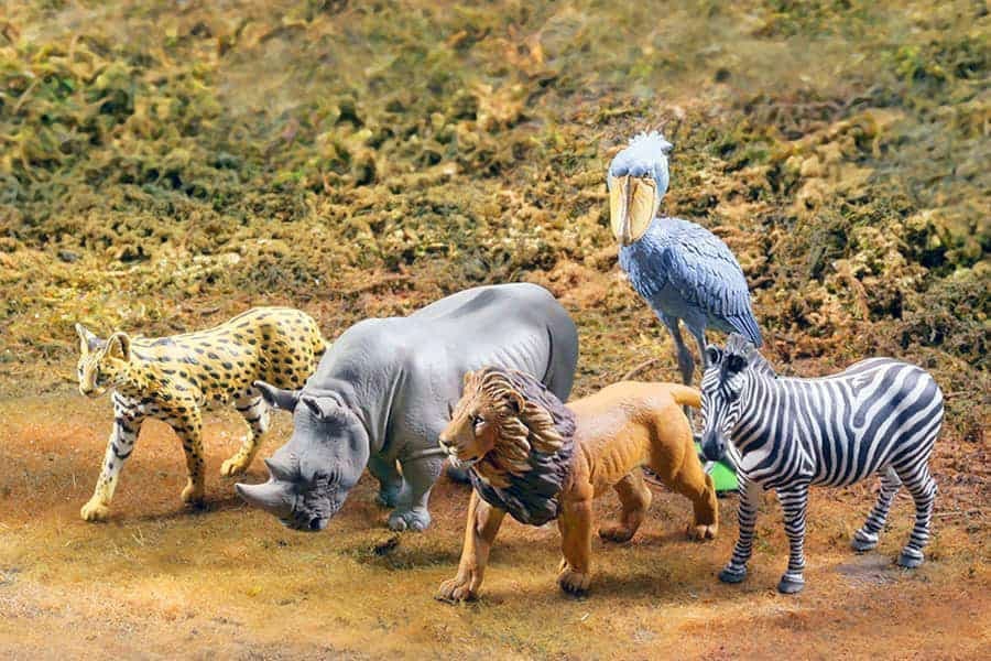 野生動物